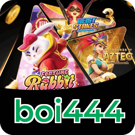 Instalação PC boi444